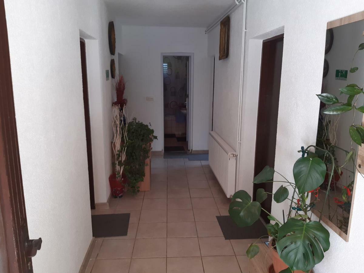 Rooms Luka Селиште-Дрежничко Экстерьер фото