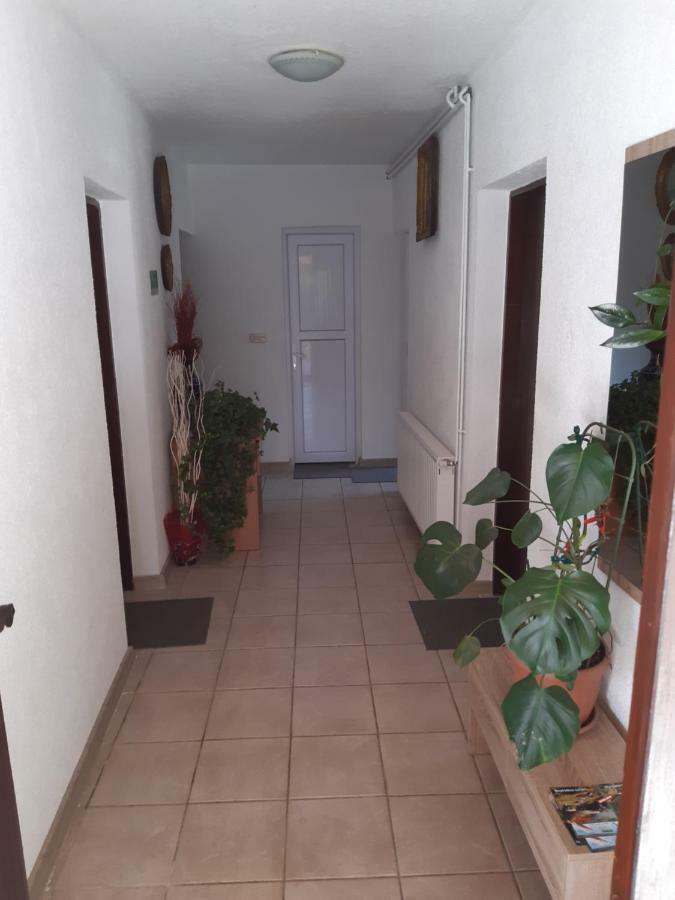 Rooms Luka Селиште-Дрежничко Экстерьер фото